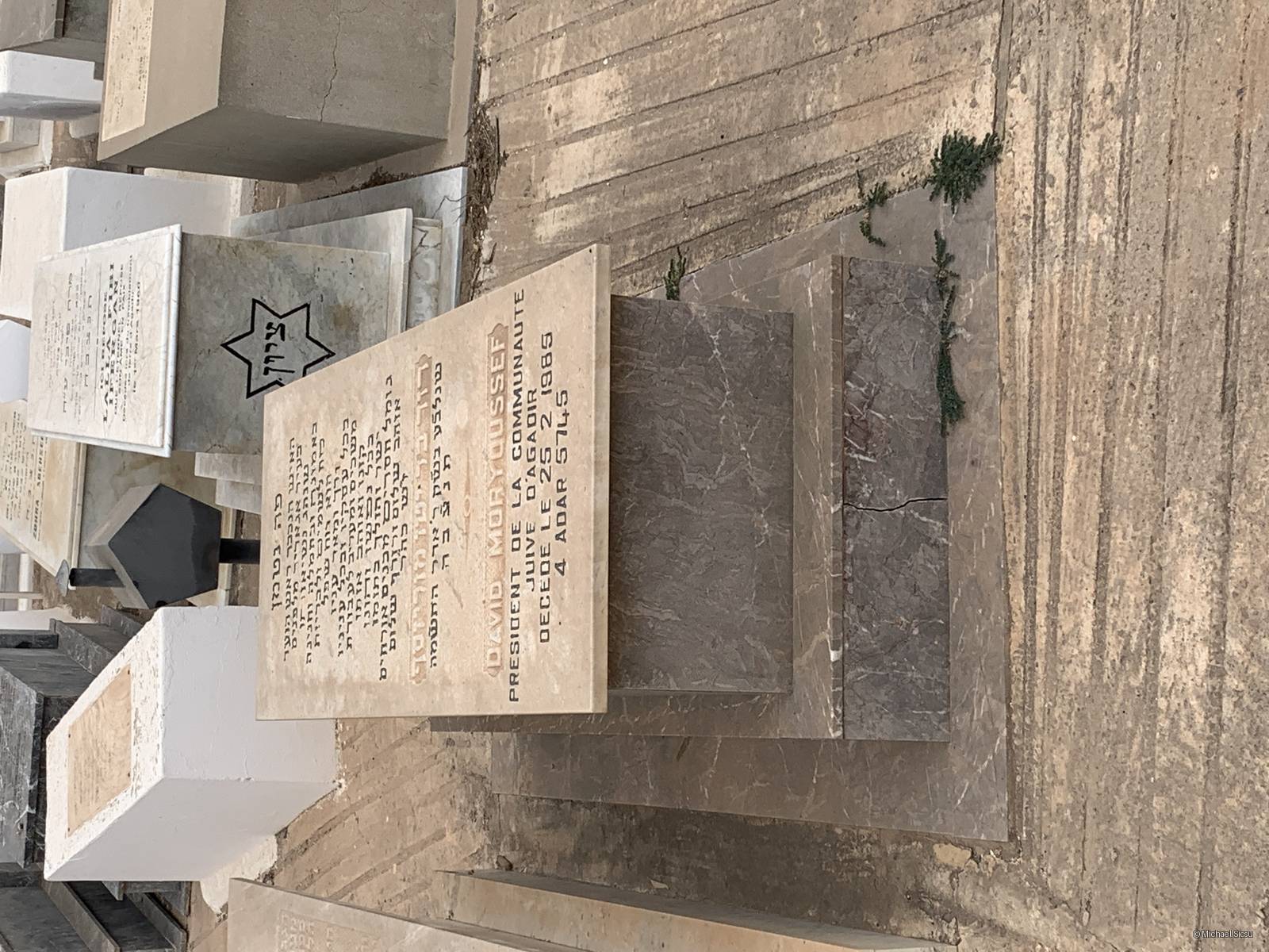 Estela de MORYOUSSEF DAVID