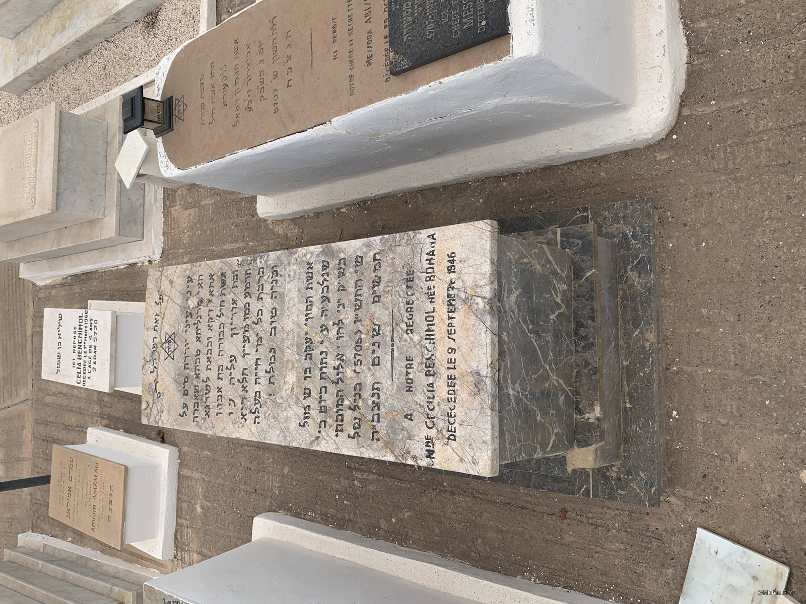 מצבת Benchimol Cécilia
