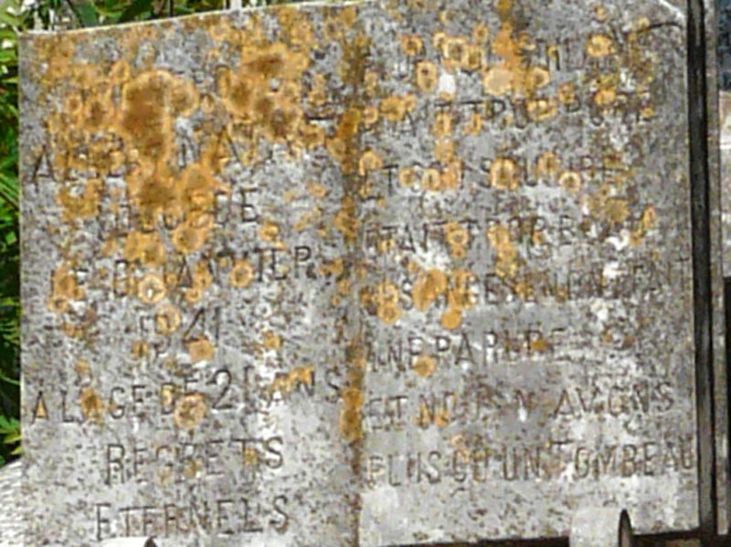 Stèle de NATAF Albert