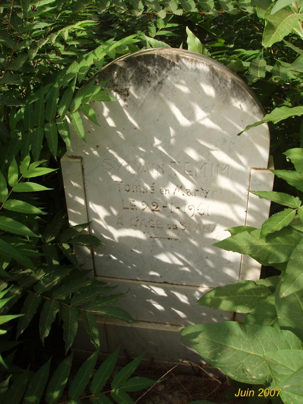 Stèle de TEMIM Sylvain Salomon