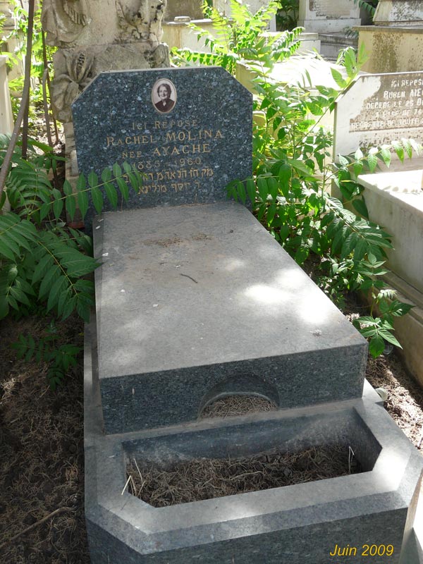 Grafsteen van AYACHE Rachel