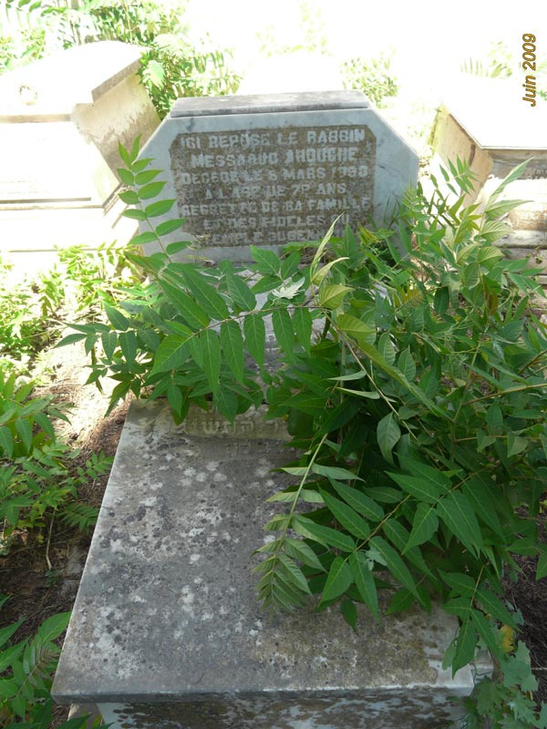 AROUCHE Messaoud fejfája