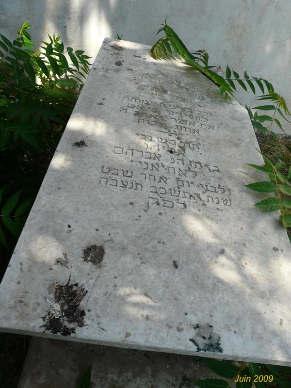 Tombstone of LAYANI Lalou Eliaou
