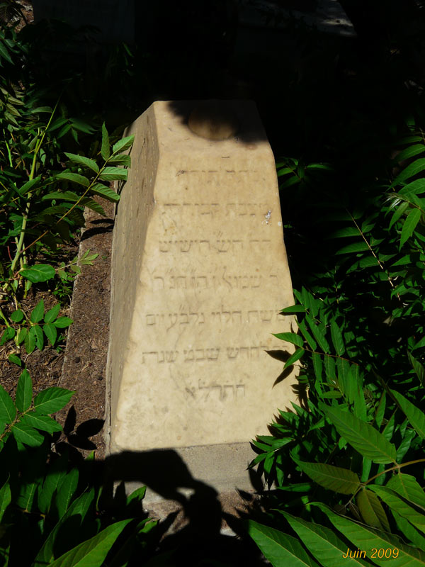 Grafsteen van LEVY Samuel