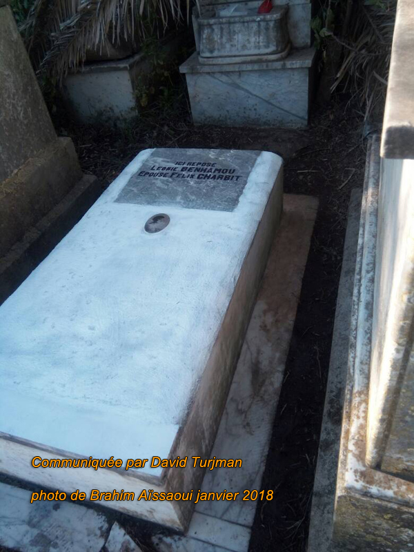 Grafsteen van BENHAMOU Luna Léonie