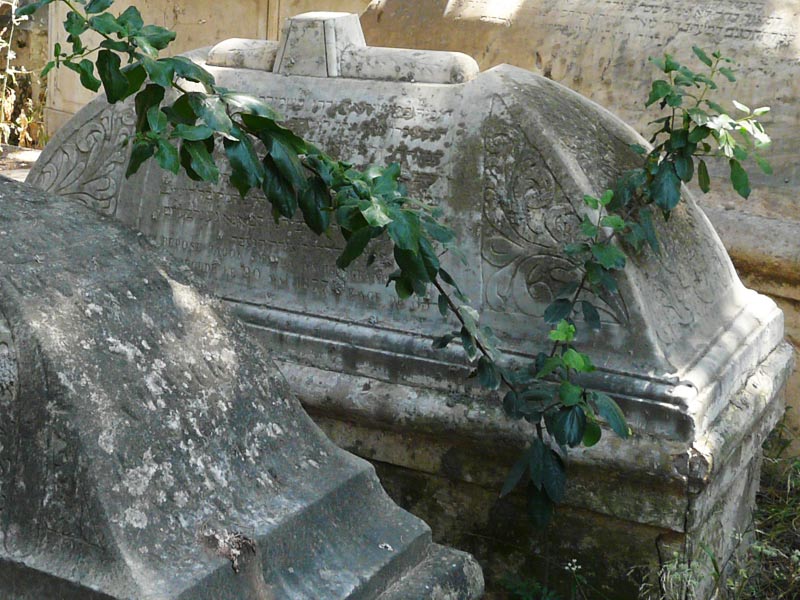 Stèle de SMADJA Jacob