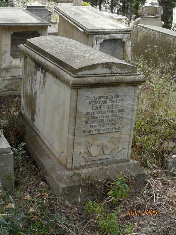 Stèle de COHEN SOLAL Messaoud Fortuné