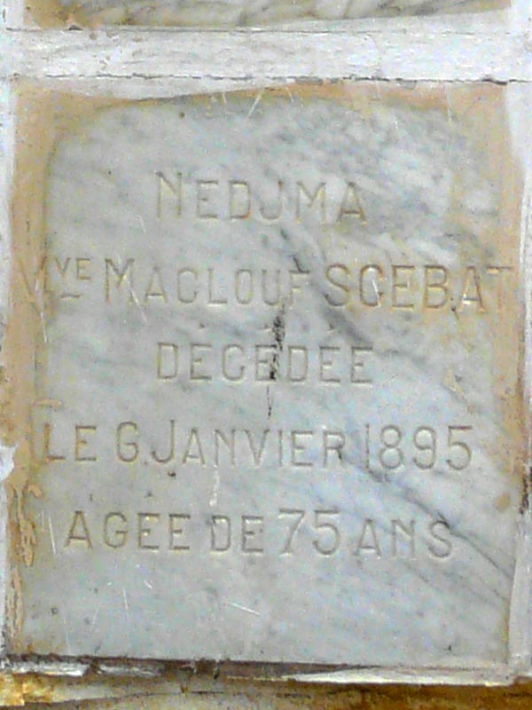 Stèle de ENOS Nedjma