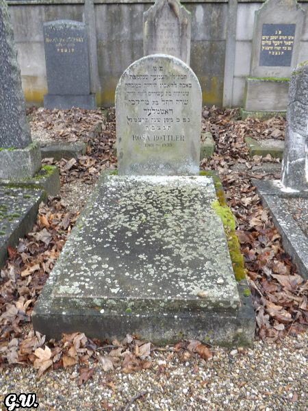 Stèle de Rottler Rosa