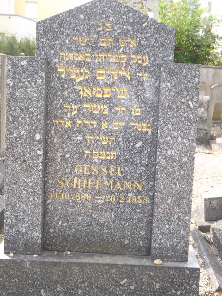 Schiffmann Gessel fejfája