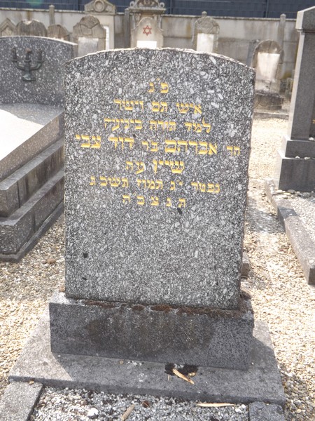 מצבת Schein Abraham