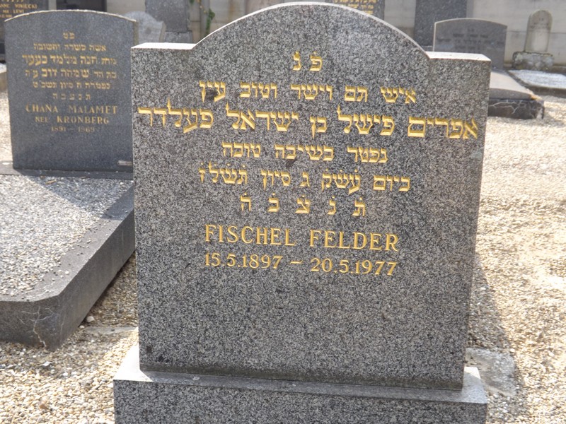 شاهدة قبر Felder Fischel