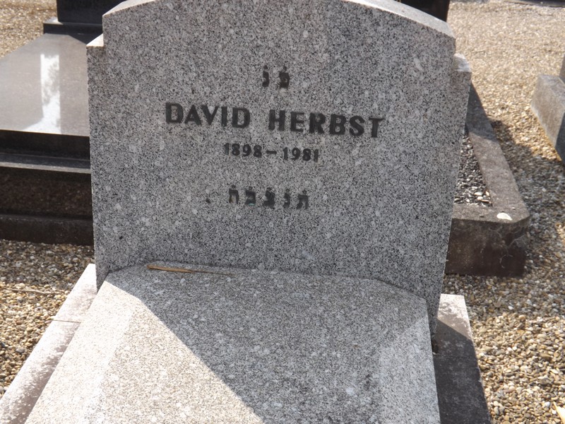 מַצֵּבה פון Herbst David