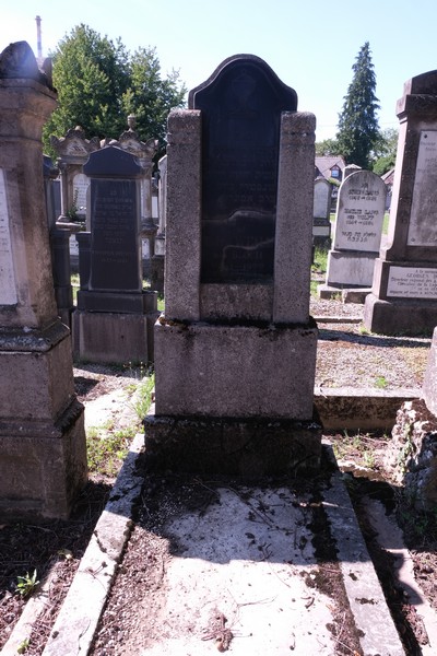 Estela de Weill Reine