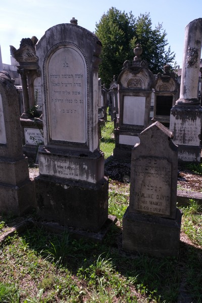 Stèle de David Pauline