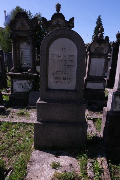 Estela de Blum Aron
