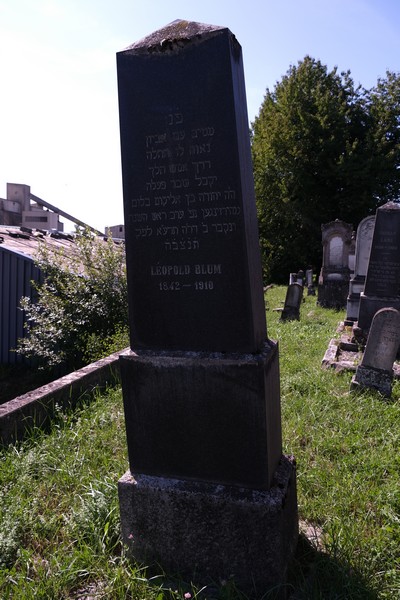Estela de Blum Léopold