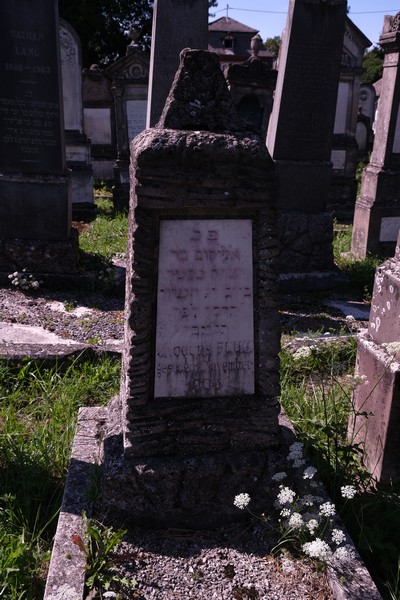 מַצֵּבה פון Blum Jacques