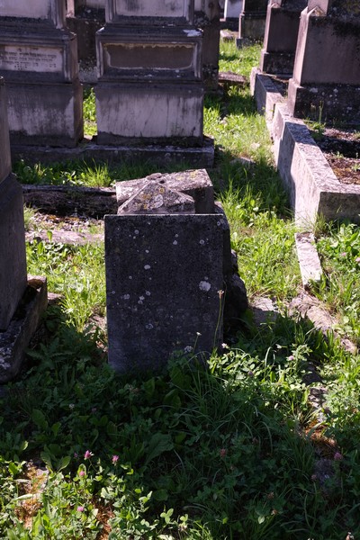 Stèle de Brunschwig Elqa