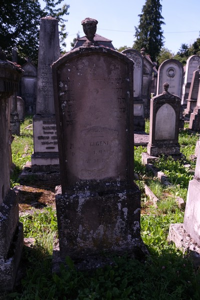 Gugenheim M. fejfája