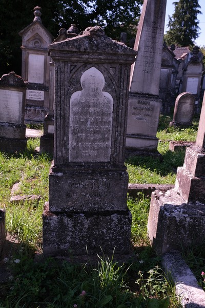 Estela de David Moïse