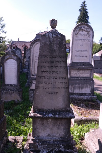 Estela de Picard Adèle