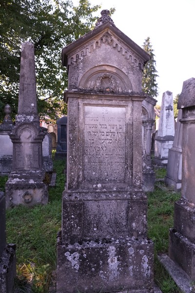 Estela de Lazarus Marx