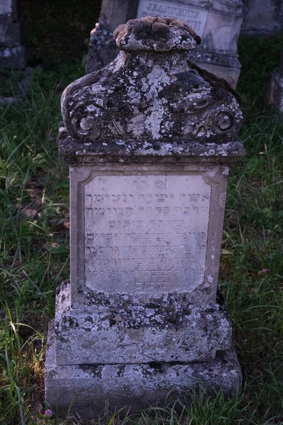Stèle de Hauser Sara