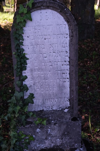 Grabstein von Dreyfus Lucie