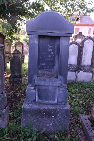 Tombstone of Blum Sara