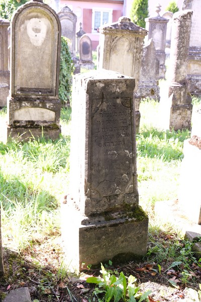 Tombstone of Lévy Rosalie