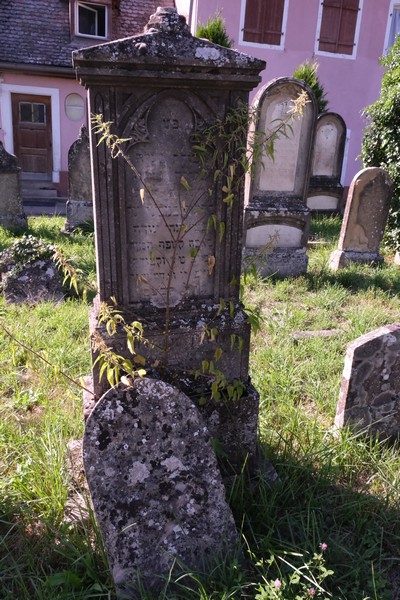 Grabstein von Bamberger Pauline
