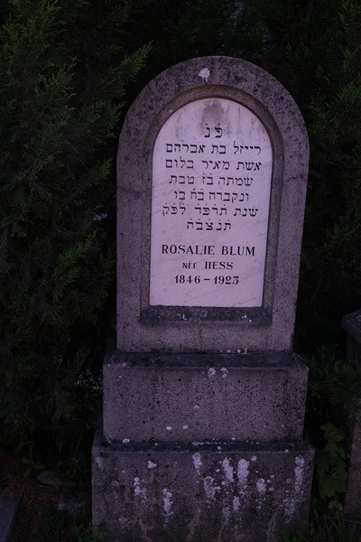 Grabstein von Blum Rosalie