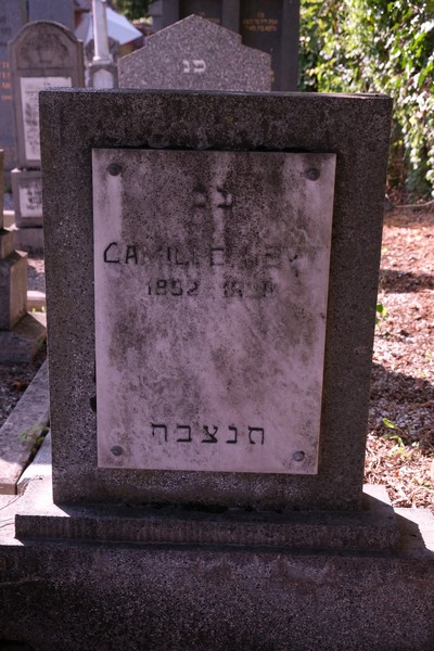 Tombstone of Lévy Camille
