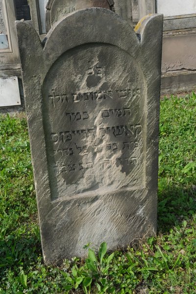Stèle de Dreyfuss Moses
