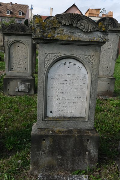 Estela de Klotz Aarone