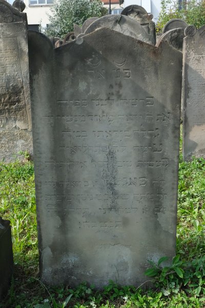 Tombstone of Lévy Feïguel