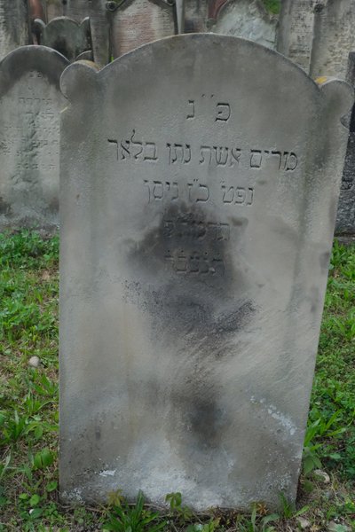 شاهدة قبر Bloch Miriam