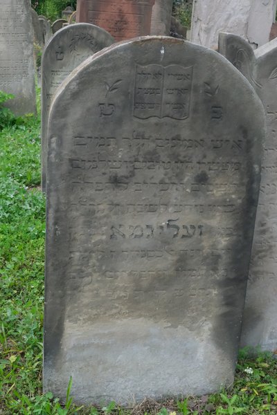 Stèle de Alexander Séligman