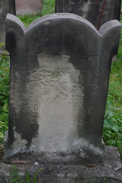 Estela de May Salomon