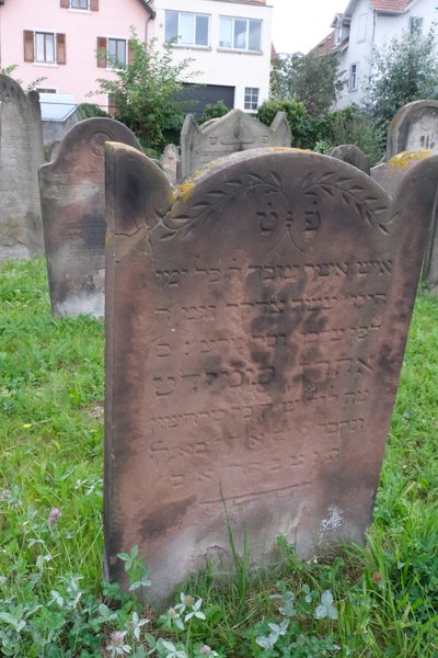 Estela de Schmidt Aarone