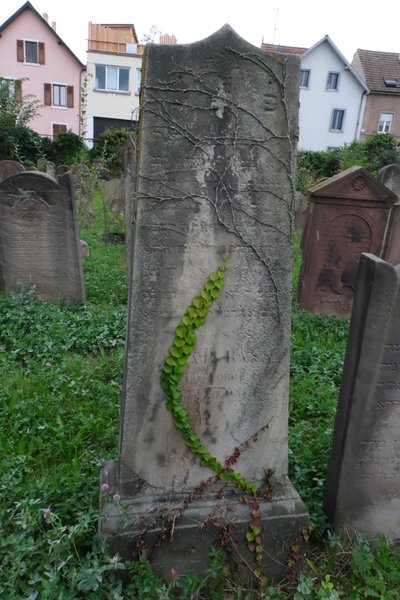 Stèle de Bass -