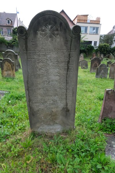 Estela de Klein Caroline
