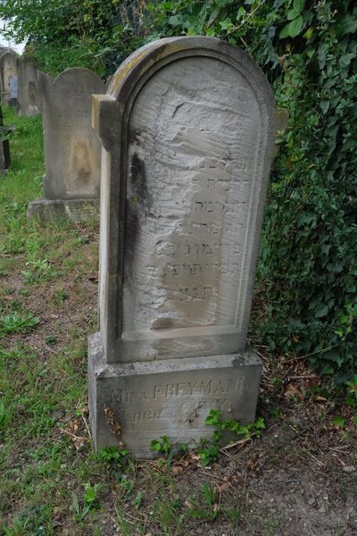 Tombstone of Freymann Nina
