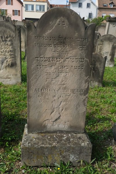 Rehfeld Salomon 的墓碑