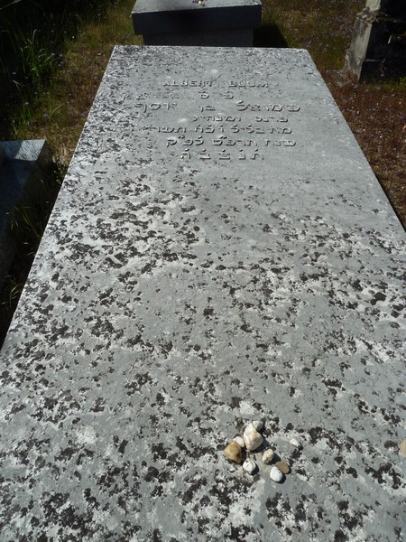 Estela de Blum Albert