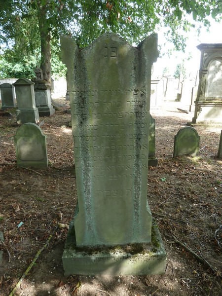 Grafsteen van Hirsch Pauline