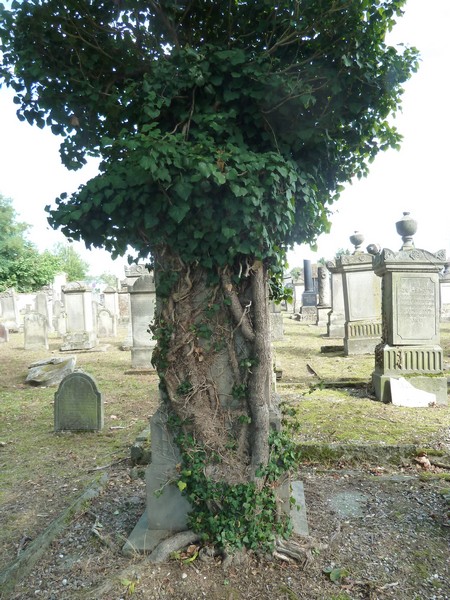 Stèle de Braun Babette