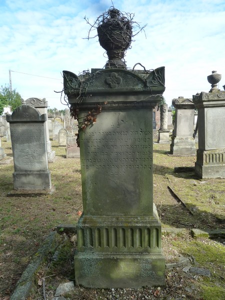 מצבת Braun Cécile
