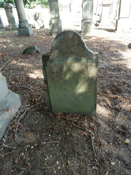 Tombstone of Guthmann Salomon